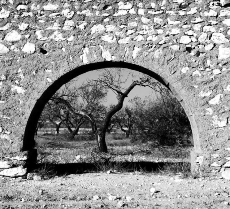 Cortijo Los Garridos - Fernán Pérez Esterno foto