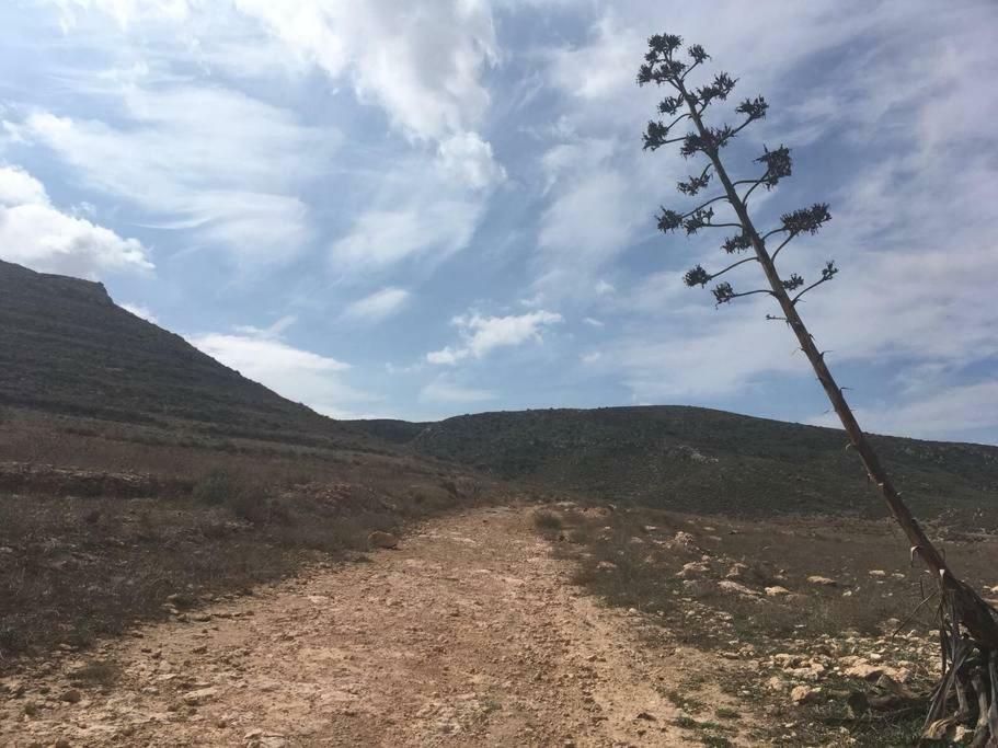 Cortijo Los Garridos - Fernán Pérez Esterno foto