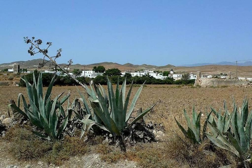 Cortijo Los Garridos - Fernán Pérez Esterno foto