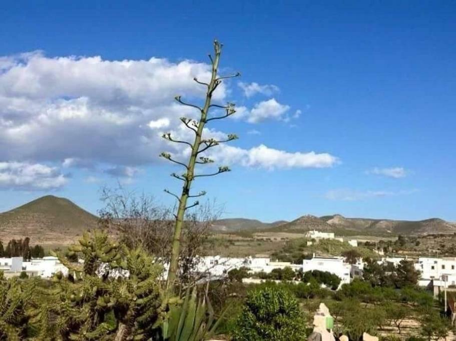 Cortijo Los Garridos - Fernán Pérez Esterno foto